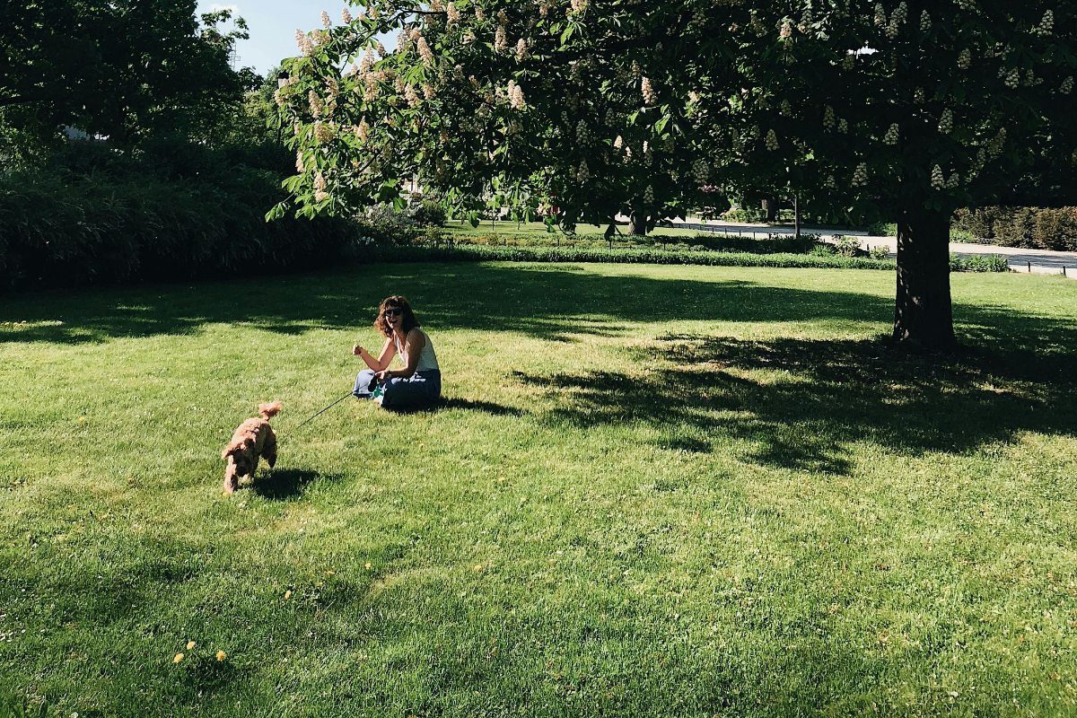 woman in park playing with dog